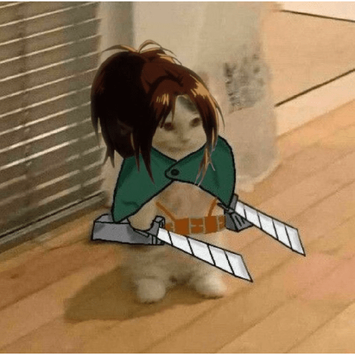 Anime cosplay cat 6