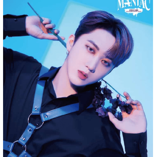 Stray kids 19