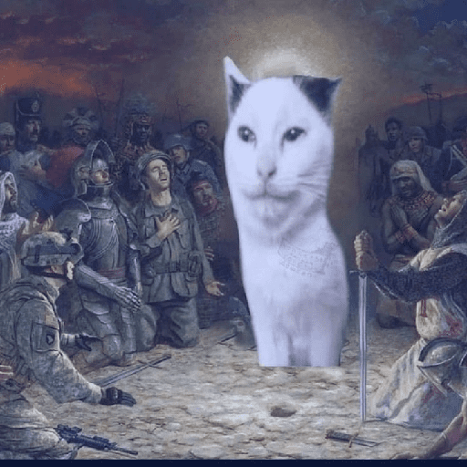 Gatos chistosos viva el CP 8
