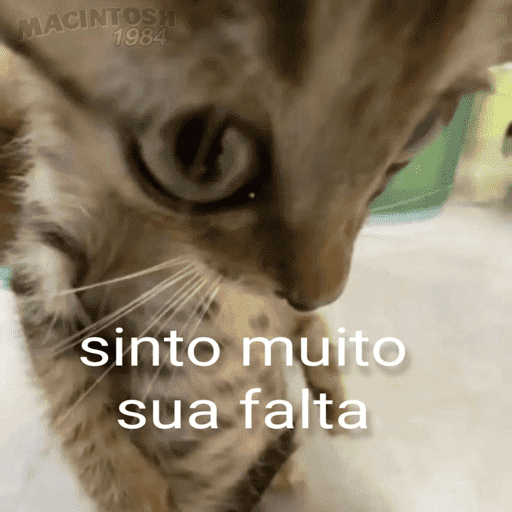 memes<3 20