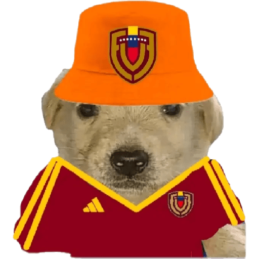 Perritos copa América 15