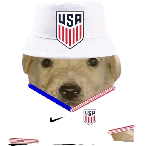 Perritos copa América 5