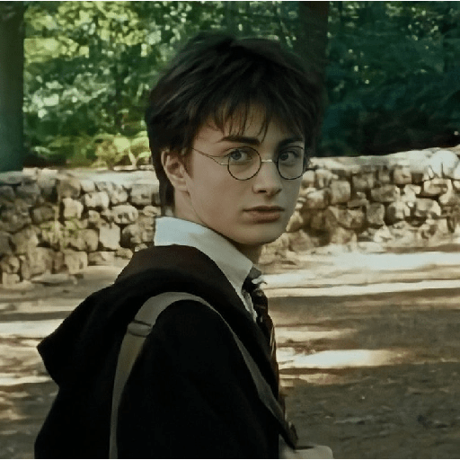 Harry Potter  8