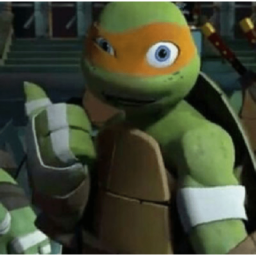Michelangelo (Mikey) 25