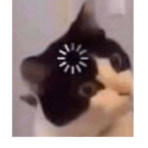 Gatos enojados 9