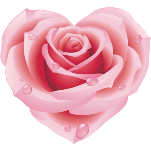 Flores 🌷 5
