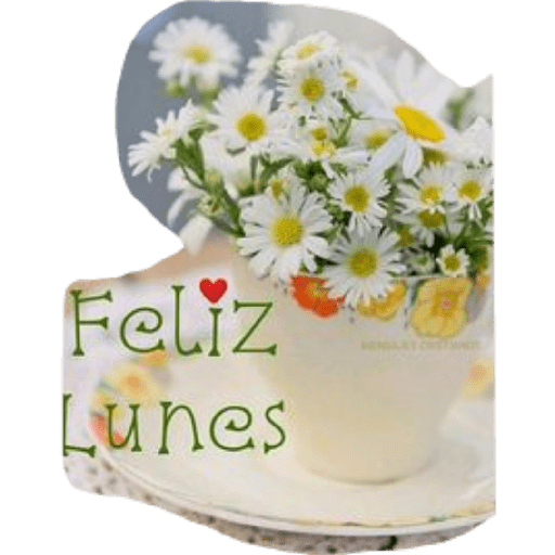 Feliz lunes 3