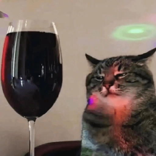 Cats 19