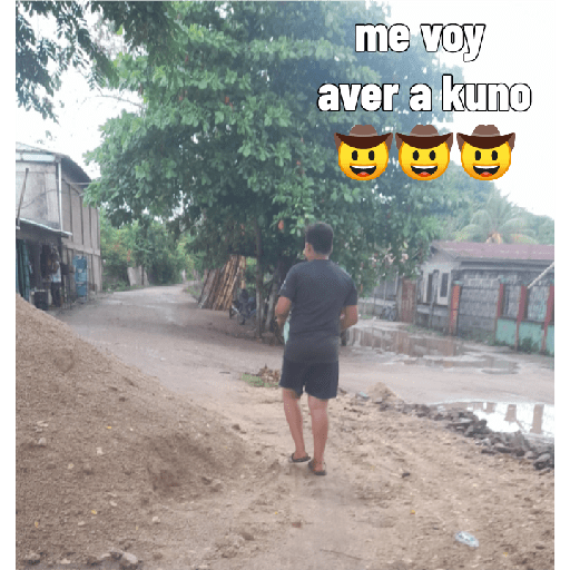 Armas evolutivas 18