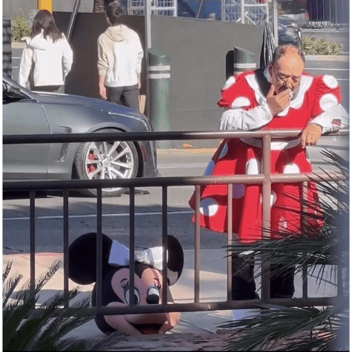 Pavadas 1 22
