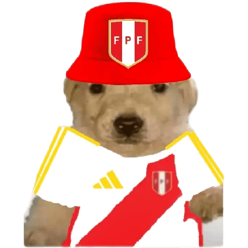 Perritos copa América 11