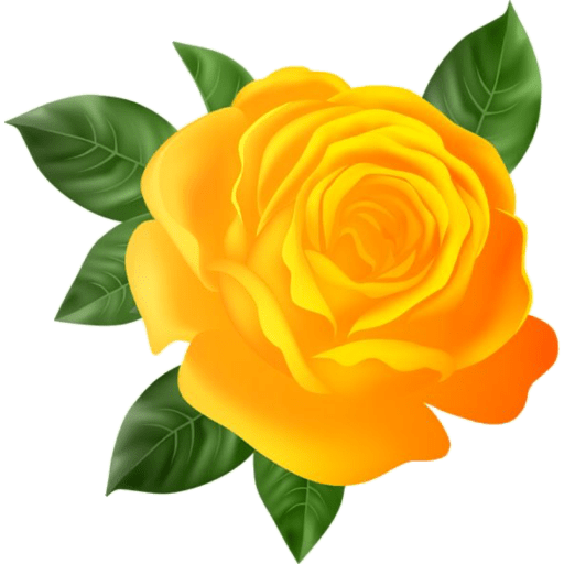Flores 🌷 6