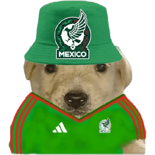 Perritos copa América 2