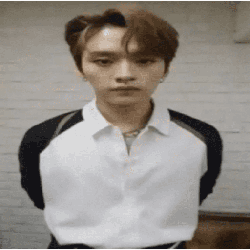 Stray kids 1 :3 3