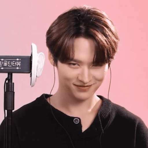 Stray kids 1 :3 1