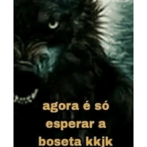 Receba inteligência 18