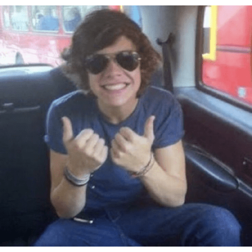 Harry Styles ranita 🐸 15