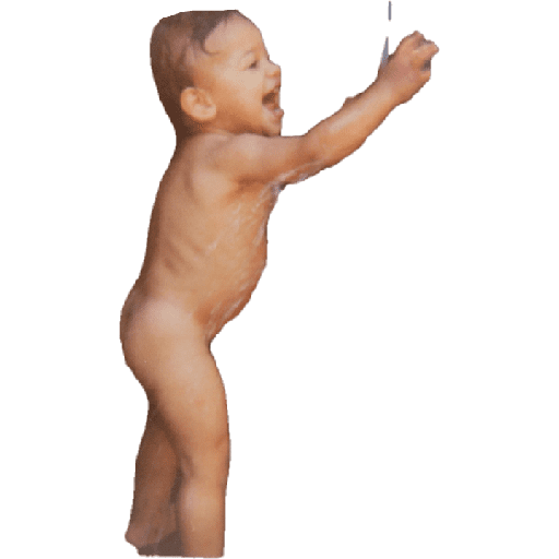 Família Feliz 1