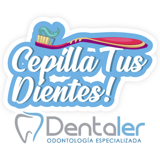Dentaler frases 26