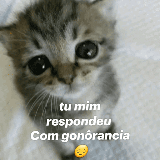 memes<3 19