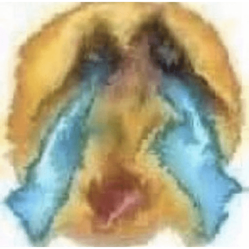 Amarilla 3