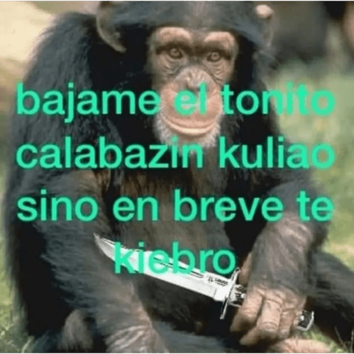 Xdxdxd 17