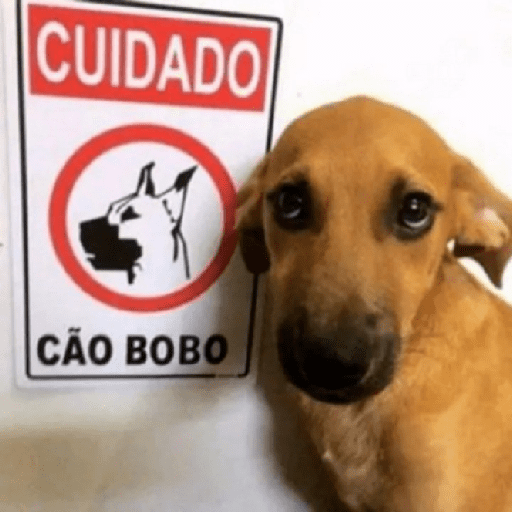 Memes do twitter pt. 28 11
