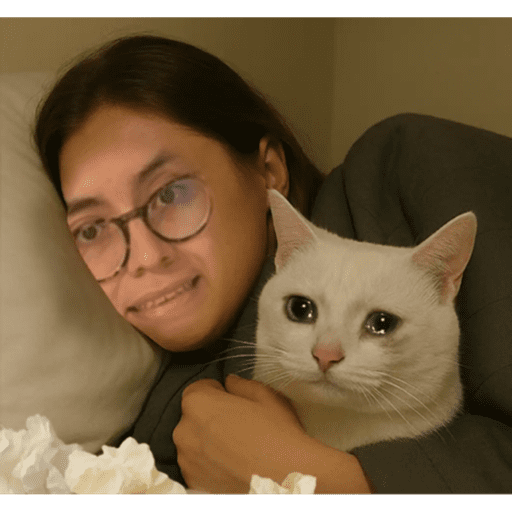 Papas Gatito 6