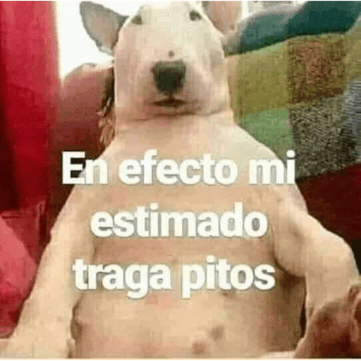 222 16