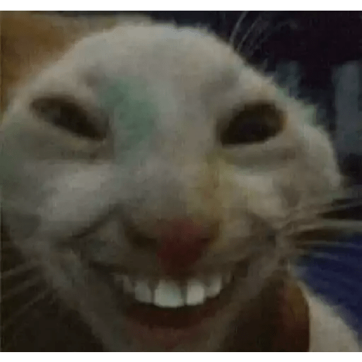 🤣Reir-Risas2.🤣 25