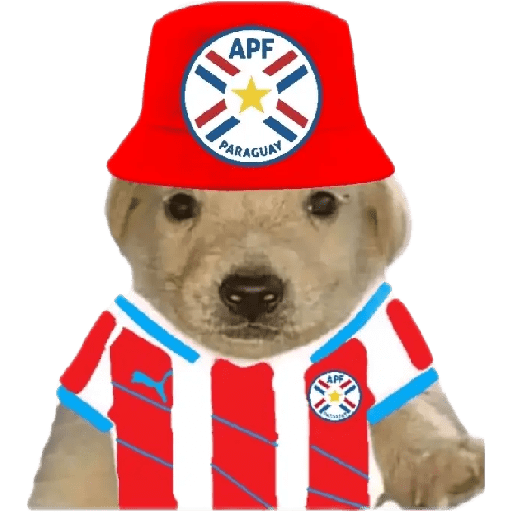 Perritos copa América 14