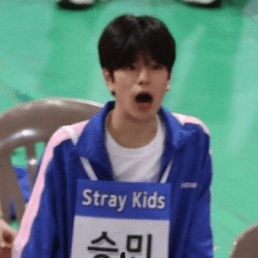 Stray kids 1 :3 29