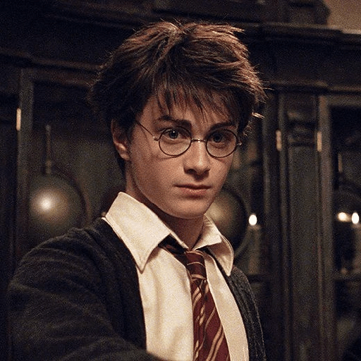 Harry Potter  9
