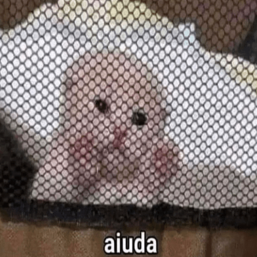 MEMES ALEATÓRIOS  11