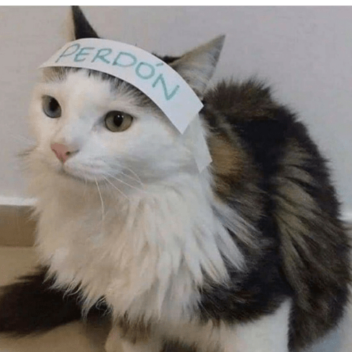Gatos enojados 10