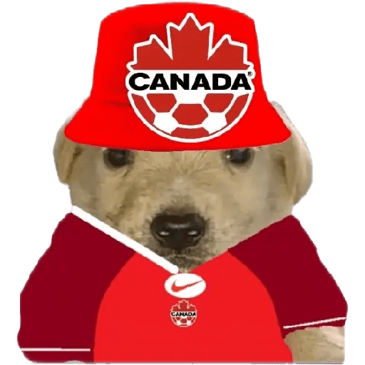 Perritos copa América 7
