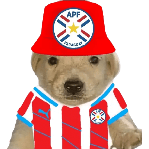 Perritos copa América 1