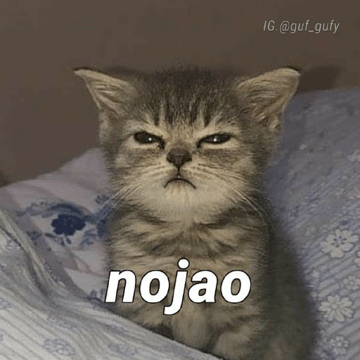 Gatos memes 7