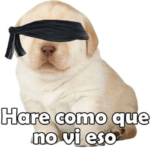 Randoms 6 16