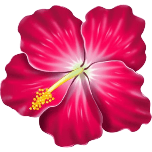 Flores 🌷 12