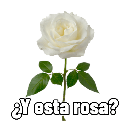 Casi no, pero hay más memes 25