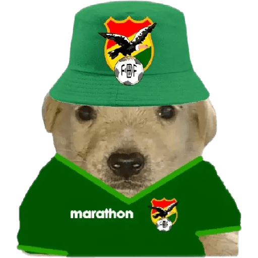 Perritos copa América 8