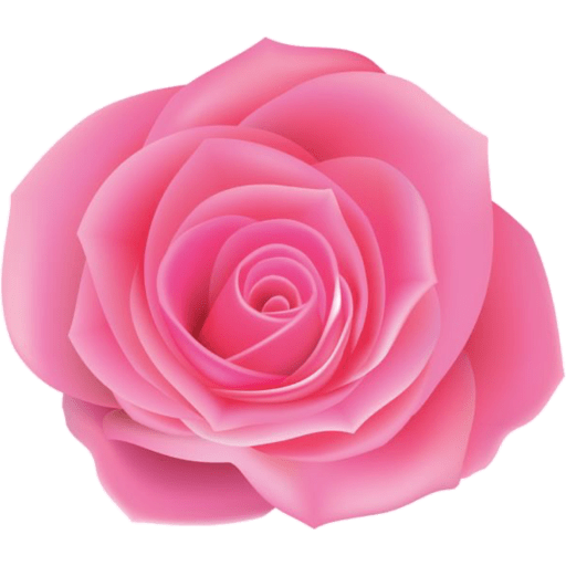 Flores 🌷 1