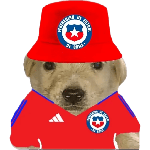 Perritos copa América 9