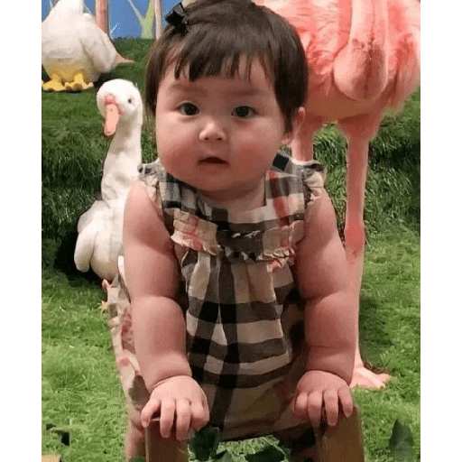 RoheeyRomi 5
