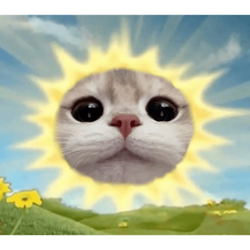 Papas Gatito 8