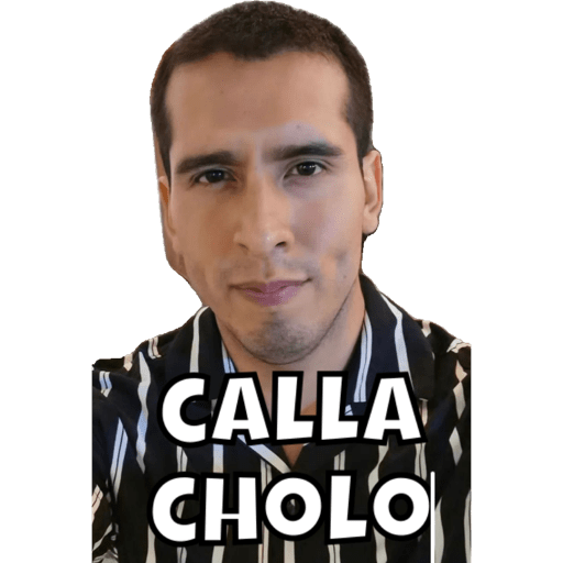 CHIPIS 8
