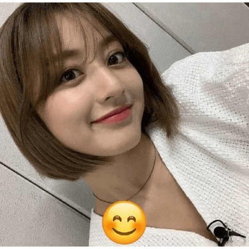 Twice Emojis  2