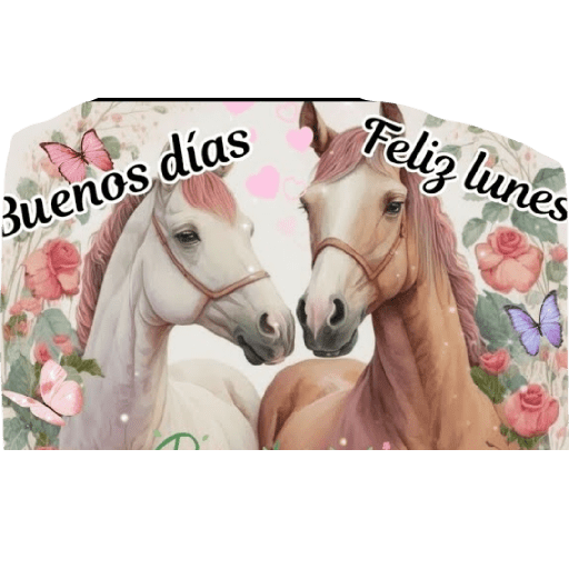 Feliz lunes 5