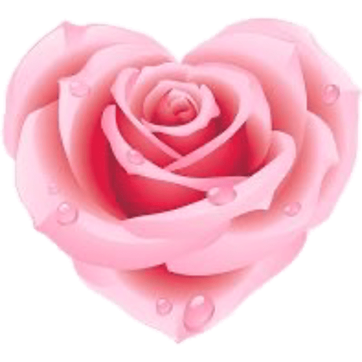 Flores 🌷 3
